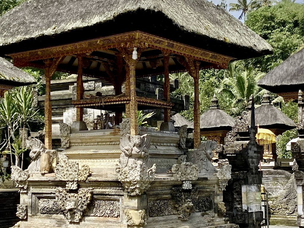 Tirtal Empul tempel bezoek singlereis Bali